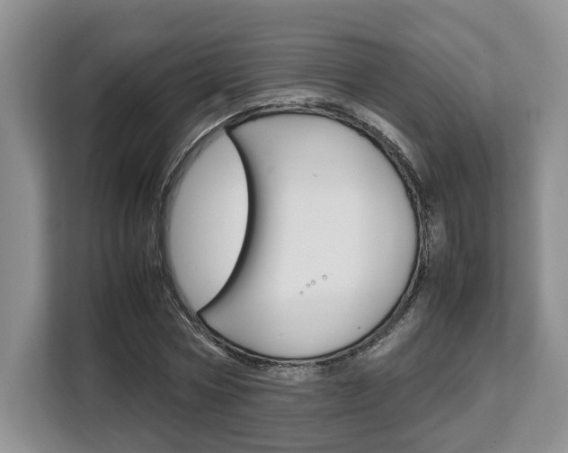 X0000108480778200904031118