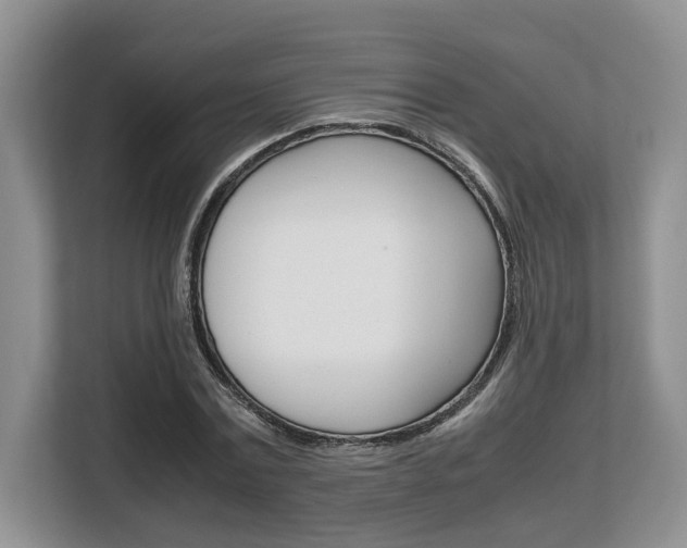 X0000108480779200904031118