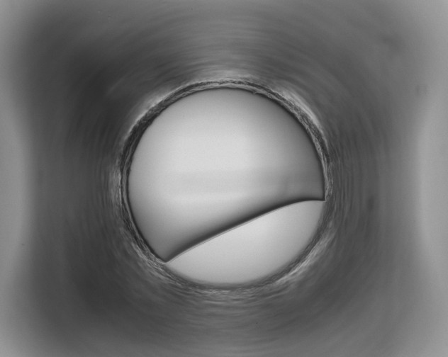 X0000108480781200904031118