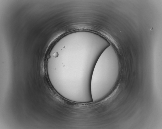 X0000108480782200904031118