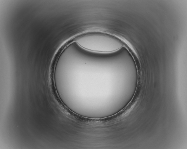 X0000108480783200904031118