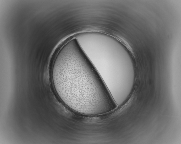 X0000108480784200904031118