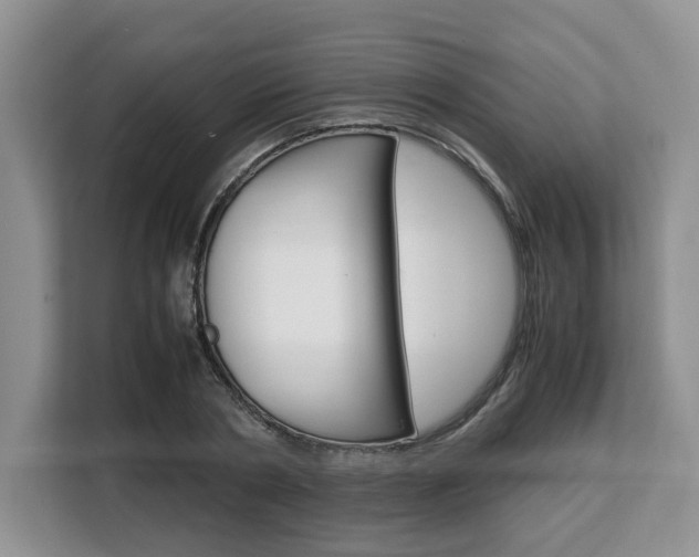 X0000108480786200904031118