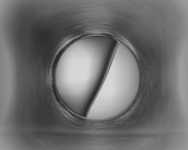 X0000108480787200904031118