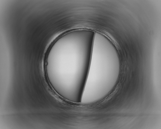 X0000108480788200904031118