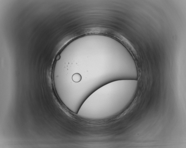 X0000108480794200904031118