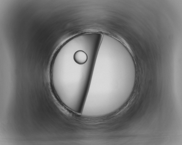 X0000108480795200904031118