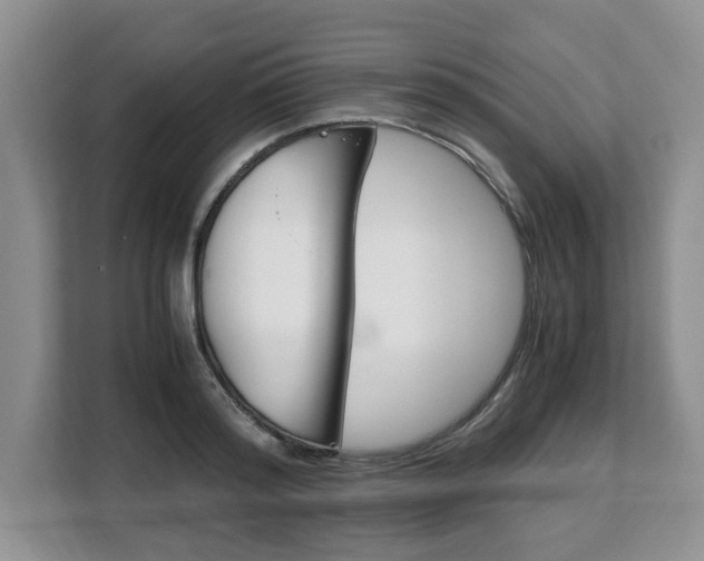 X0000108480796200904031118