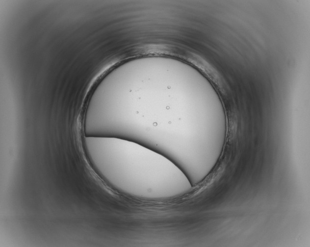 X0000108480798200904031118