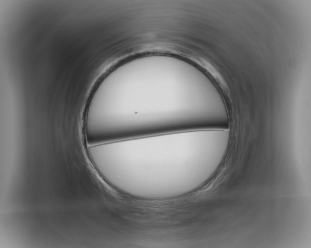 X0000108480799200904031118