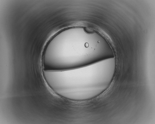 X0000108480800200904031118