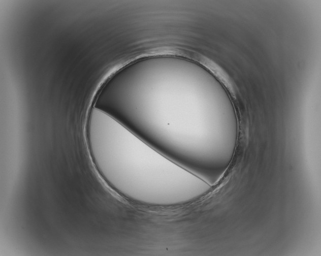 X0000108480805200904031118