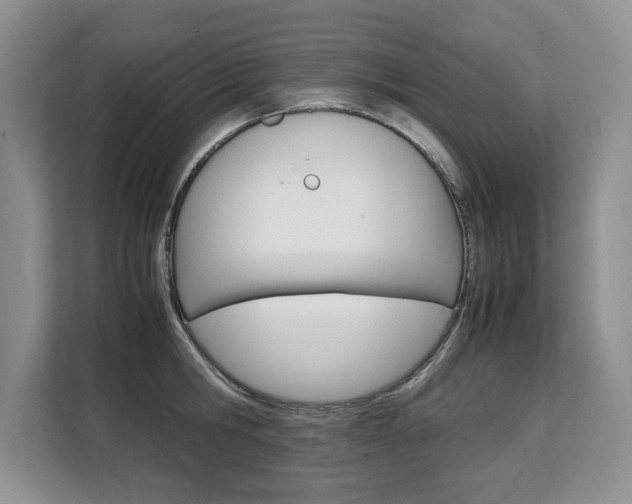 X0000108480806200904031118