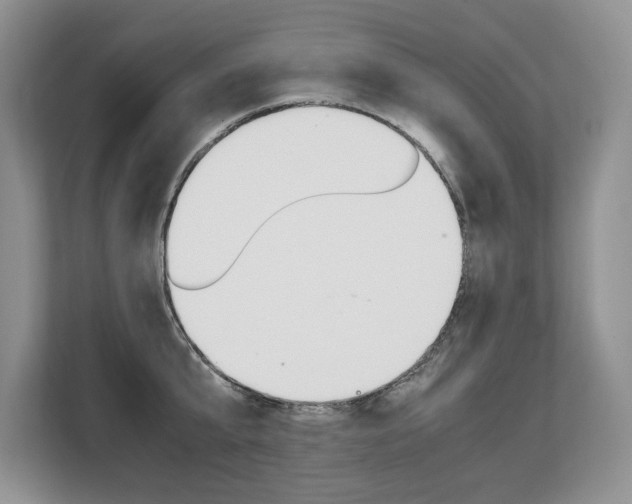 X0000108480807200904031118