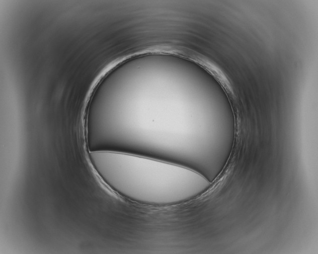 X0000108480808200904031118