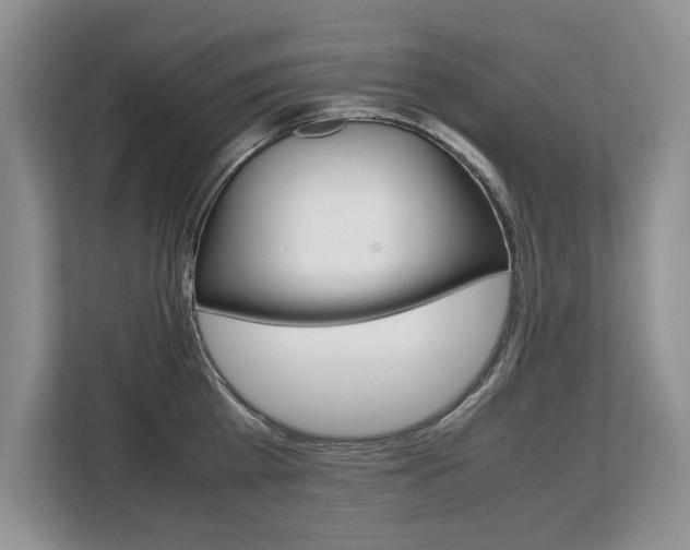 X0000108480809200904031118