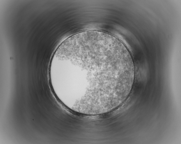 X0000108480810200904031118