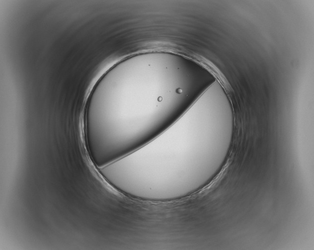 X0000108480812200904031118