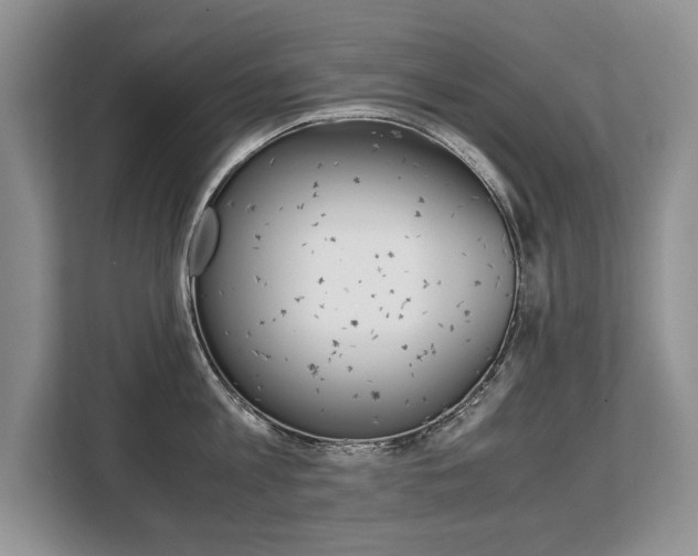 X0000108480813200904031118