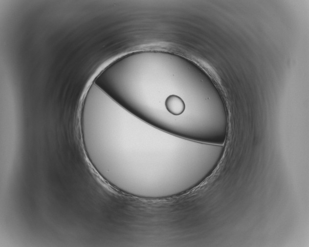 X0000108480816200904031118