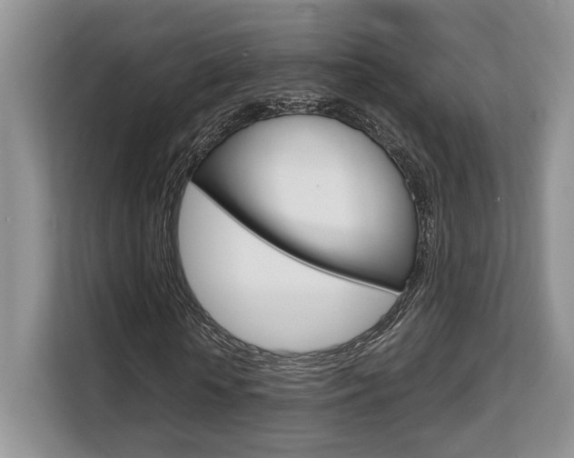 X0000108480818200904031117