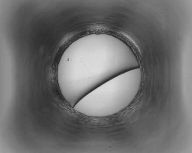 X0000108480823200904031117