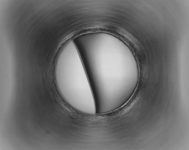 X0000108480826200904031117