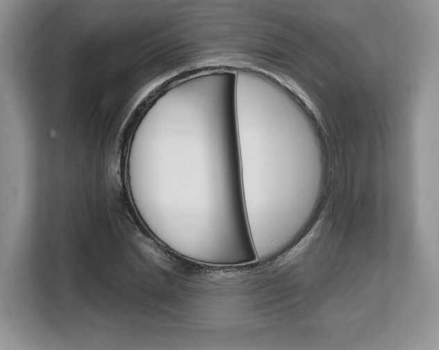 X0000108480830200904031118