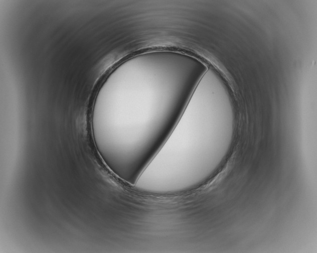 X0000108480834200904031118