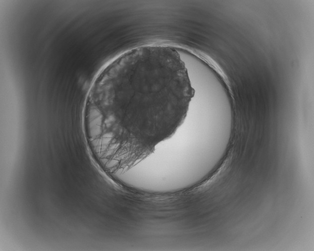 X0000108480839200904031118