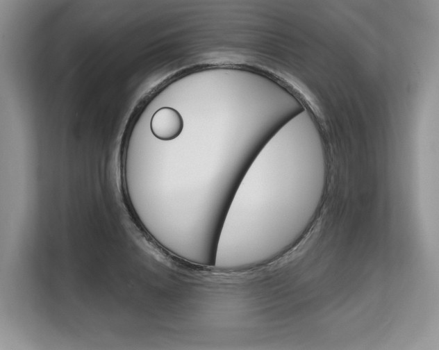 X0000108480840200904031118