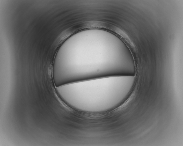 X0000108480841200904031118