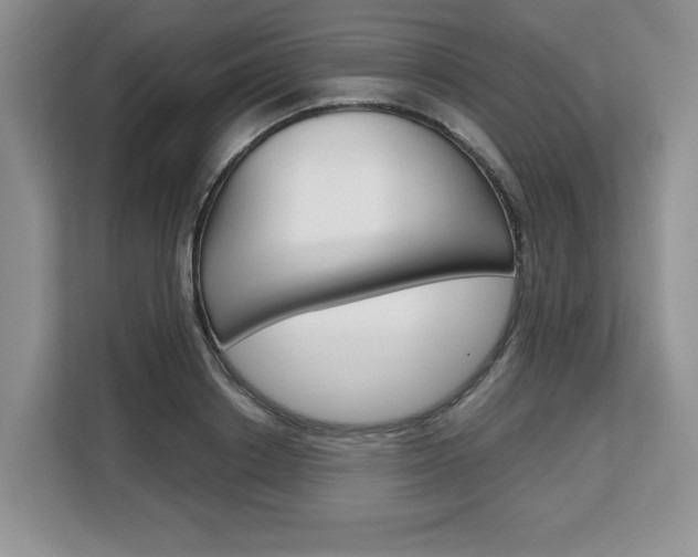 X0000108480842200904031118