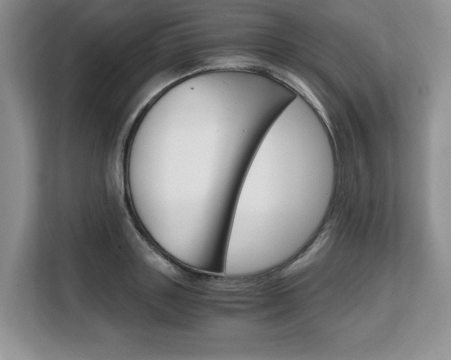 X0000108480843200904031118