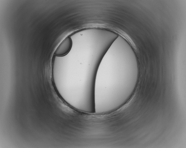 X0000108480844200904031118