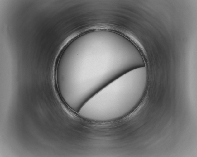 X0000108480845200904031118