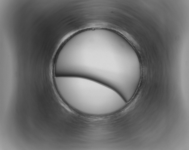 X0000108480846200904031118