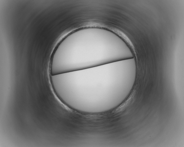X0000108480847200904031118