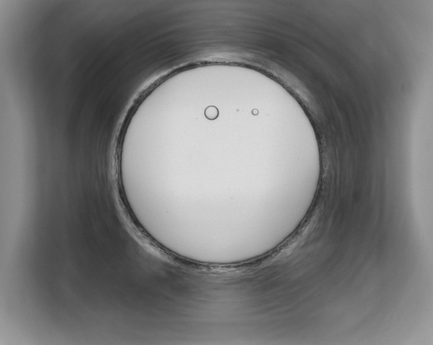 X0000108480848200904031118