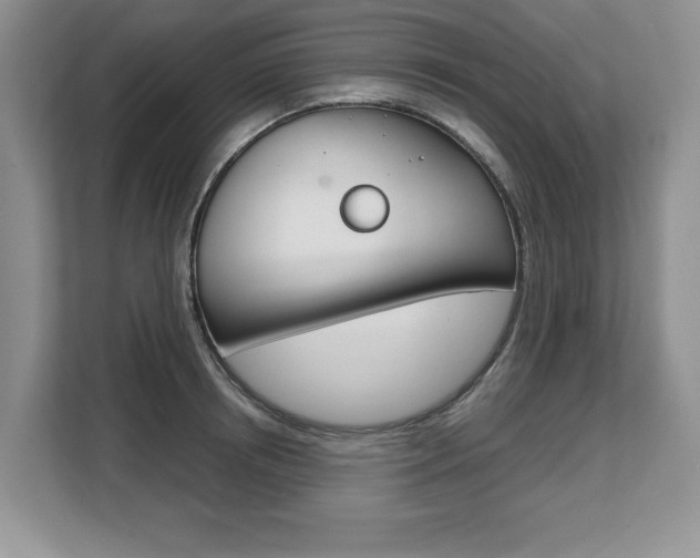 X0000108480850200904031118