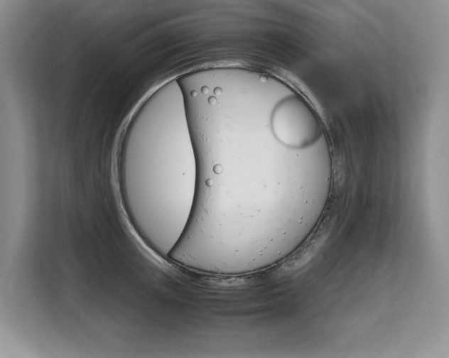 X0000108480851200904031118