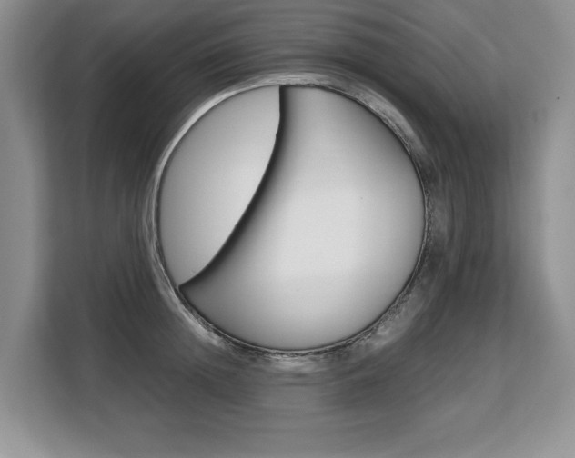 X0000108480852200904031118