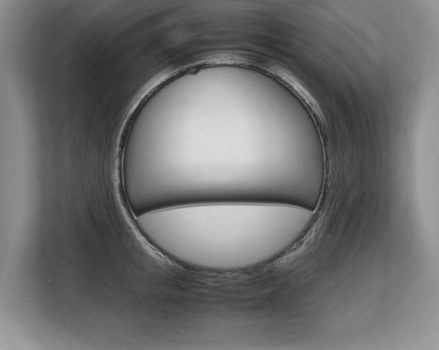 X0000108480853200904031118
