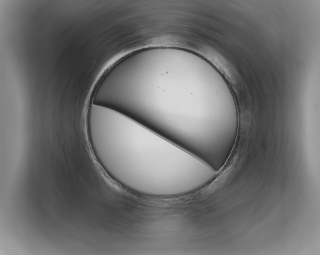 X0000108480854200904031118