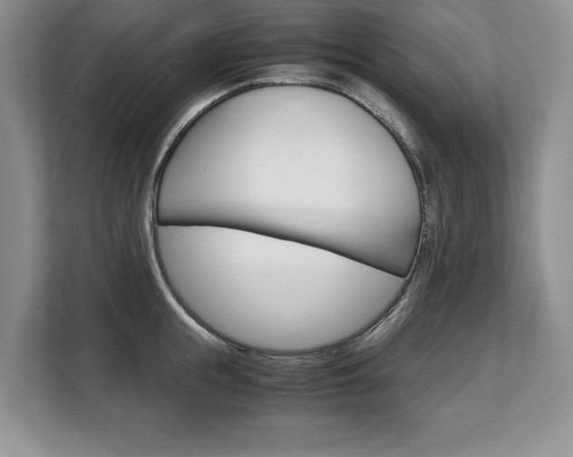 X0000108480855200904031118