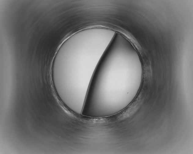 X0000108480858200904031118