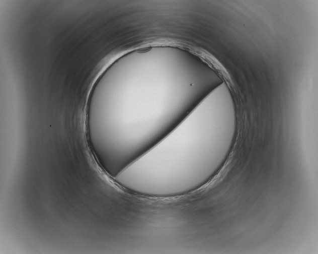 X0000108480860200904031118
