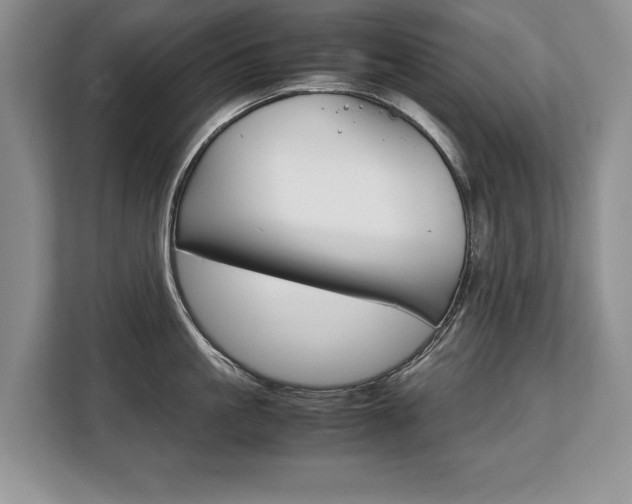 X0000108480861200904031118