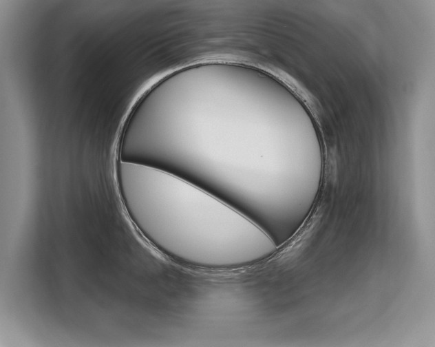 X0000108480862200904031118