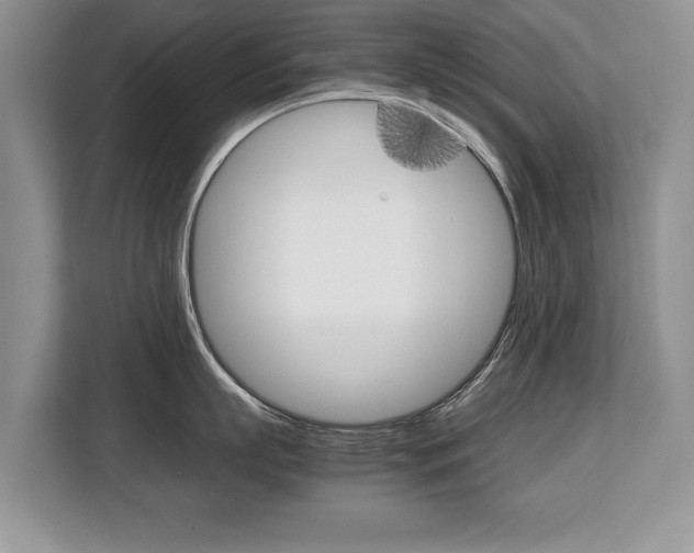 X0000108480863200904031118